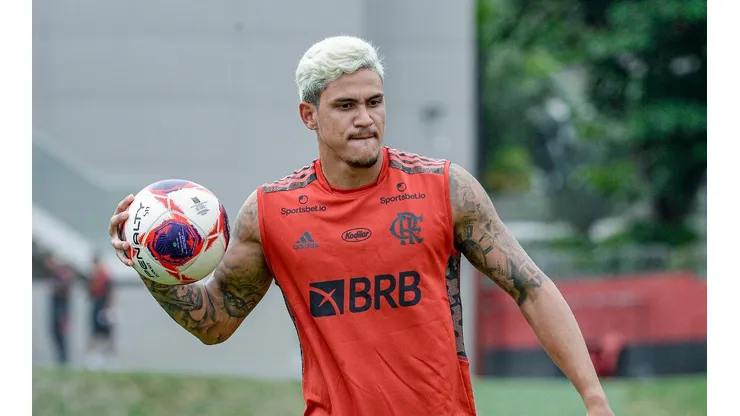 Foto: Marcelo Cortes / Flamengo