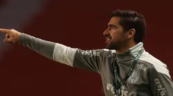 (Foto: Cesar Greco/Palmeiras/Divulgação)