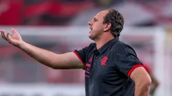 Foto: Flickr Oficial Clube de Regatas Flamengo - autor: Marcelo Cortes