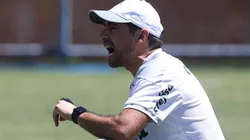 Foto: Flickr Oficial Sociedade Esportiva Palmeiras - autor: César Greco