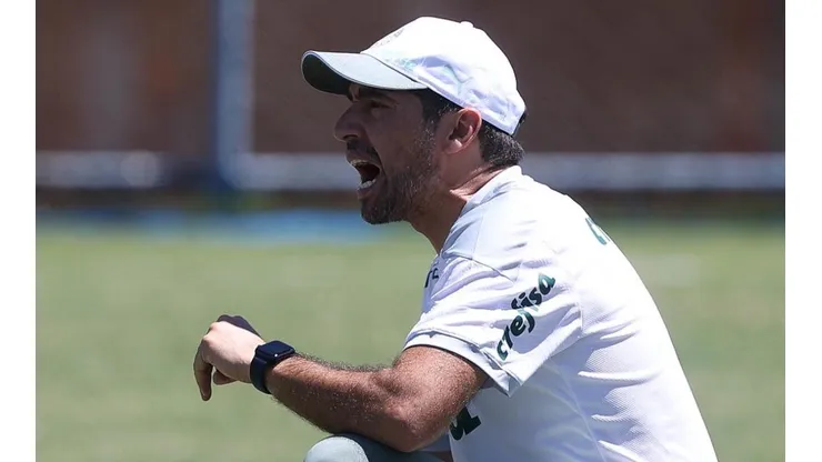 Foto: Flickr Oficial Sociedade Esportiva Palmeiras - autor: César Greco