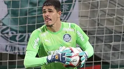 Foto: Flickr Oficial Sociedade Esportiva Palmeiras - autor: Cesar Greco