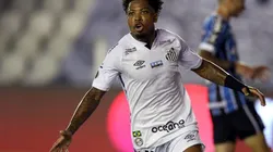 Marinho é o jogador com mais participação em gols do Santos