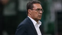 Divulgação/Palmeiras