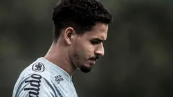 Foto: Ivan Storti/Santos FC/Divulgação