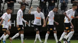 Richard começou o ano como titular, mas não deve ser mais aproveitado. Foto: Daniel Auguato Jr/Ag. Corinthians.