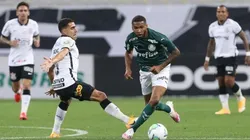 Cesar Greco/Palmeiras