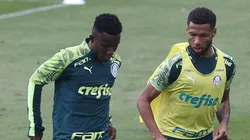 Cesar Greco/Palmeiras