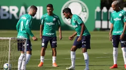 Cesar Greco/Palmeiras