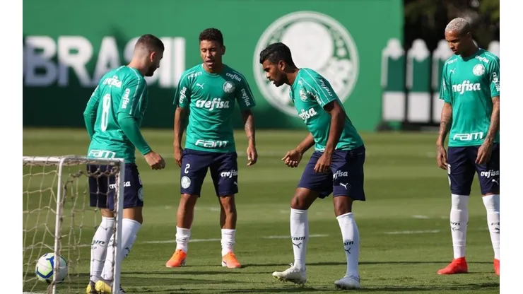 Cesar Greco/Palmeiras