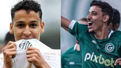 Pedro Azevedo/SFC/ Site Oficial Goiás