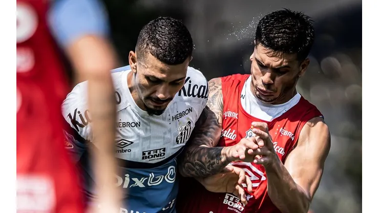 Foto: Raul Baretta/ Santos FC - Alison e Rodrigo Fernández devem perder estreia do Peixe na Sul-Americana