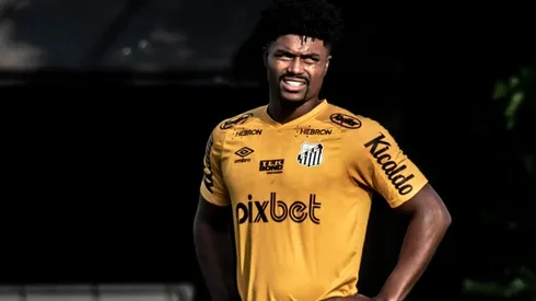 Foto: Ivan Storti/ Santos FC