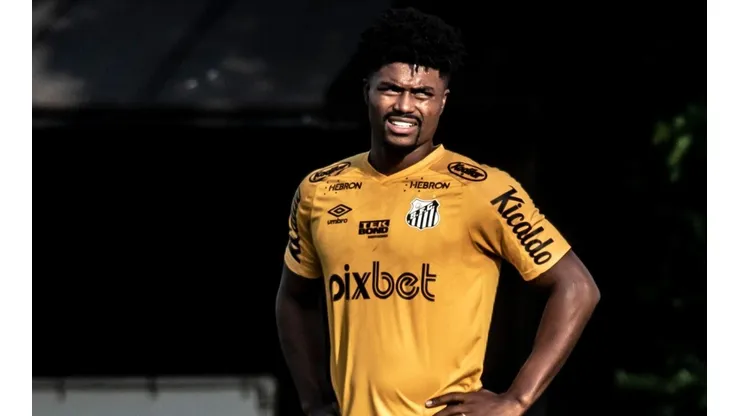 Foto: Ivan Storti/ Santos FC