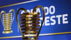 Foto: divulgação / CBF