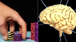 Os benefícios do poker para a mente humana (Fotos: Reprodução/Pixabay)