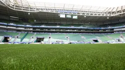 Foto: Fabio Menotti/ Ag. Palmeiras