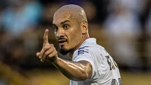 Foto: Divulgação / Flickr Santos