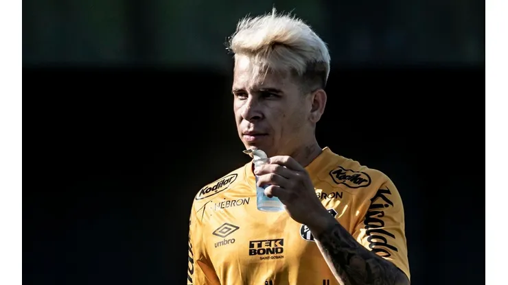 Foto: Ivan Storti/ Santos