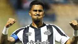 Foto: Pedro Ernesto Guerra Azevedo/Santos FC - Ivonei já recebeu as boas novas