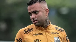 Foto: Ivan Storti/Santos FC - Luan retorna de empréstimo ao Corinthians após período sem brilho na Vila Belmiro