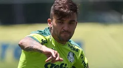 Foto: Cesar Greco - Sociedade Esportiva Palmeiras