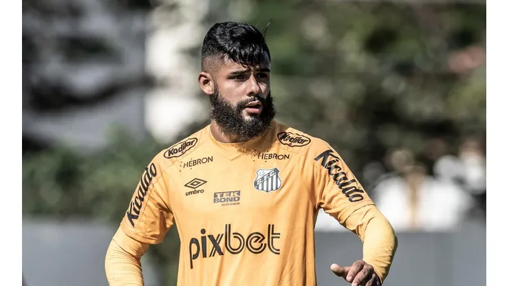 Foto:Ivan Storti/ Santos/FC