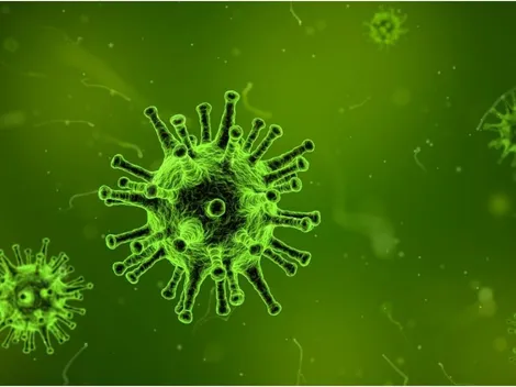 Casos positivos de covid-19 aumentam em 12 estados, afirma Fiocruz