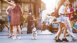 População mundial se aproxima de 8 bilhões, alerta ONU. Imagem: Pixabay.