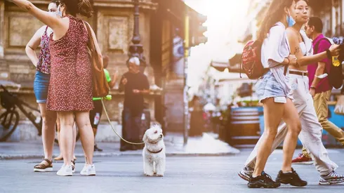 População mundial se aproxima de 8 bilhões, alerta ONU. Imagem: Pixabay.