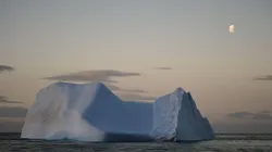 Reprodução/Pixabay