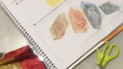 Imagem: Reprodução/TikTok (@penteados.da_helo)