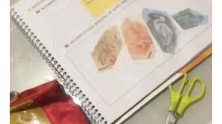 Imagem: Reprodução/TikTok (@penteados.da_helo)