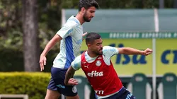 Foto: César Greco/ Palmeiras