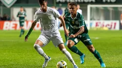 Alessandra Torres/AGIF - Palmeiras e América-MG se enfrentam pela penúltima rodada do Brasileirão