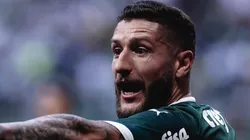 - Zé Rafael