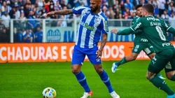 Foto: R.Pierre/AGIF - Bruno Silva retornará ao Avaí contra o Santos