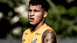 Foto: Ivan Storti/Santos FC