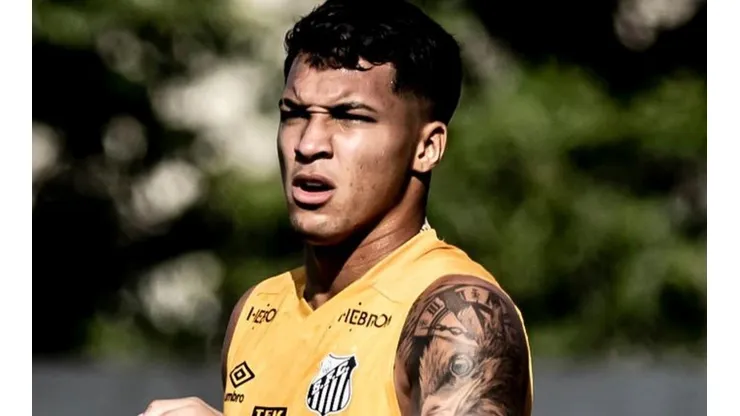 Foto: Ivan Storti/Santos FC