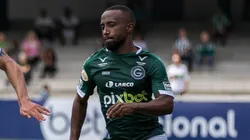 Foto: Robson Mafra/AGIF - Diego vem realizando um ótimo segundo turno.