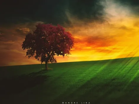 15 de Novembro; Saiba o que é celebrado nessa data