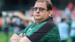 Robson Mafra/AGIF/ "O cara é da seleção"; Torcida do Coritiba 'cobra' Guto Ferreira para ter jogador como titular.