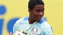 Foto: Cesar Greco - Sociedade Esportiva Palmeiras