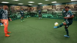 Foto: César Greco/ Palmeiras