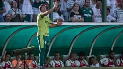 BRASILEIRO A 2022, GOIAS X PALMEIRAS