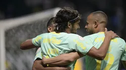 BRASILEIRO A 2022, PALMEIRAS X AVAI - Foto: Alan Morici/AGIF