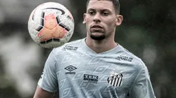 Foto: Ivan Storti/Santos FC - Alex deve formar zaga do Santos com Bauermann diante do Flamengo