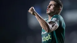 Foto: Heber Gomes/AGIF - Pedro Raul é o artilheiro do Brasileirão junto com Cano, do Fluminense