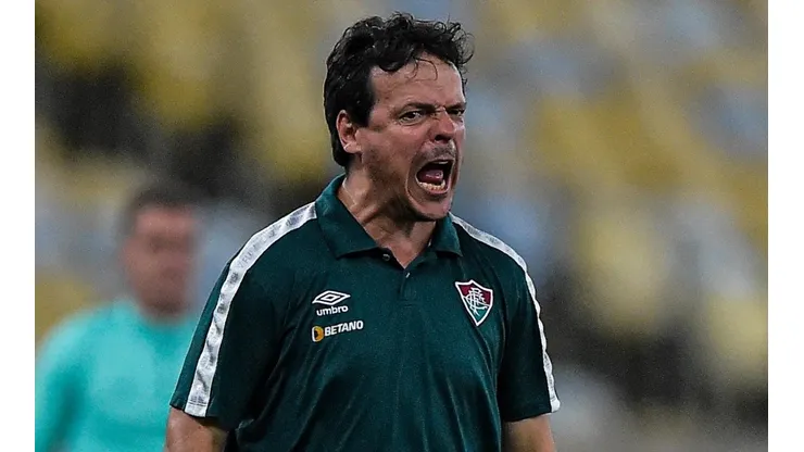 Diniz deve permanecer no Fluminense (Foto: Thiago Ribeiro/AGIF)