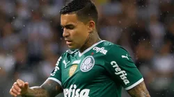 Fernando Moreno/AGIF - Dudu no Palmeiras.